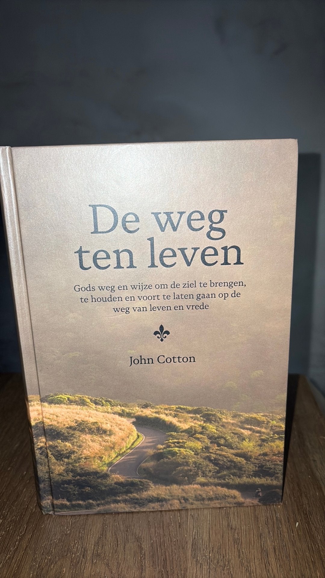TM John Cotton.  De weg ten leven, Boeken, Ophalen of Verzenden, Zo goed als nieuw
