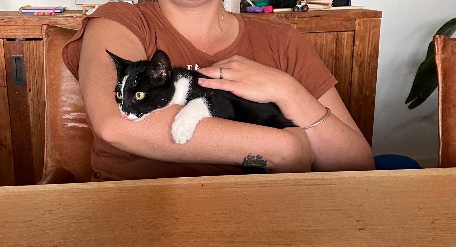 Kitten van een lapjeskat, Dieren en Toebehoren, Kater