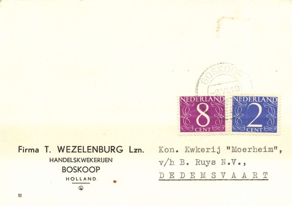 Firma T. Wezelenburg Lzn., Boskoop - 07.1964 - briefkaart, Ophalen of Verzenden, Briefkaart
