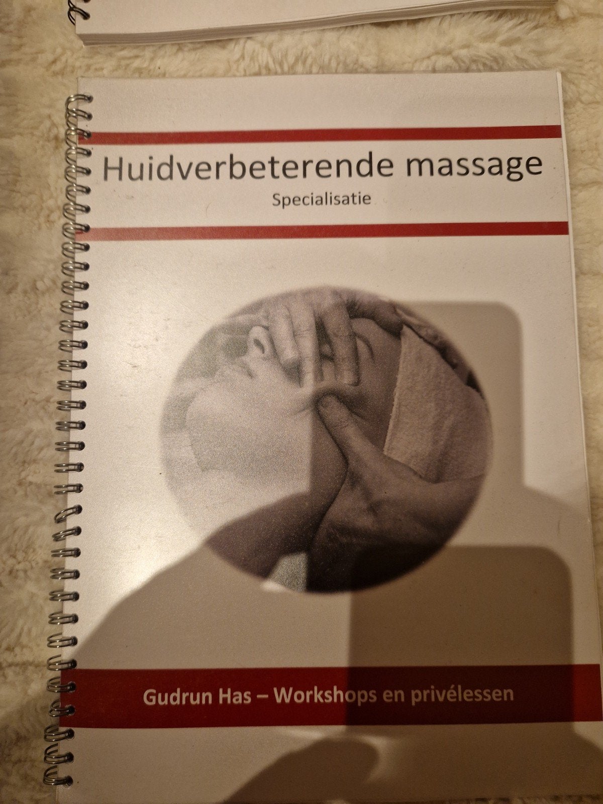 Huidverbeterende massage: Gudrun Has Workshops, Ophalen of Verzenden, Zo goed als nieuw, MBO, Gudrun Has