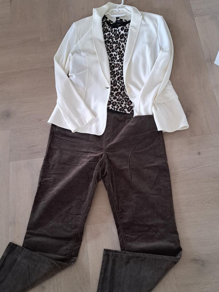 Fluwelen Marccain broek 7 bruin., Bruin, Maat 42/44 (L), Ophalen of Verzenden, Zo goed als nieuw