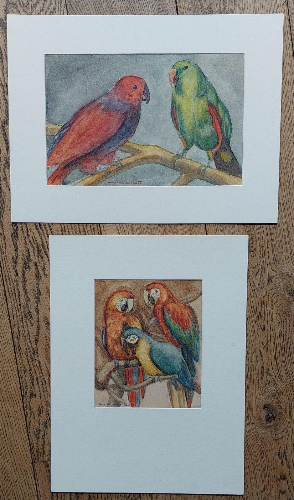 Twee originele aquarellen van papegaaien, Antiek en Kunst, Kunst | Tekeningen en Foto's, Ophalen of Verzenden