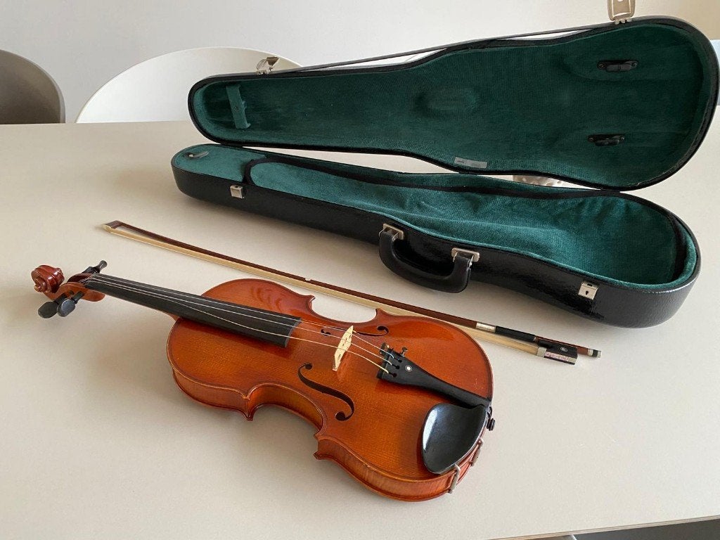 Paesold viool, Muziek en Instrumenten, Strijkinstrumenten | Violen en Altviolen, Ophalen, Gebruikt, Viool, 4/4-viool