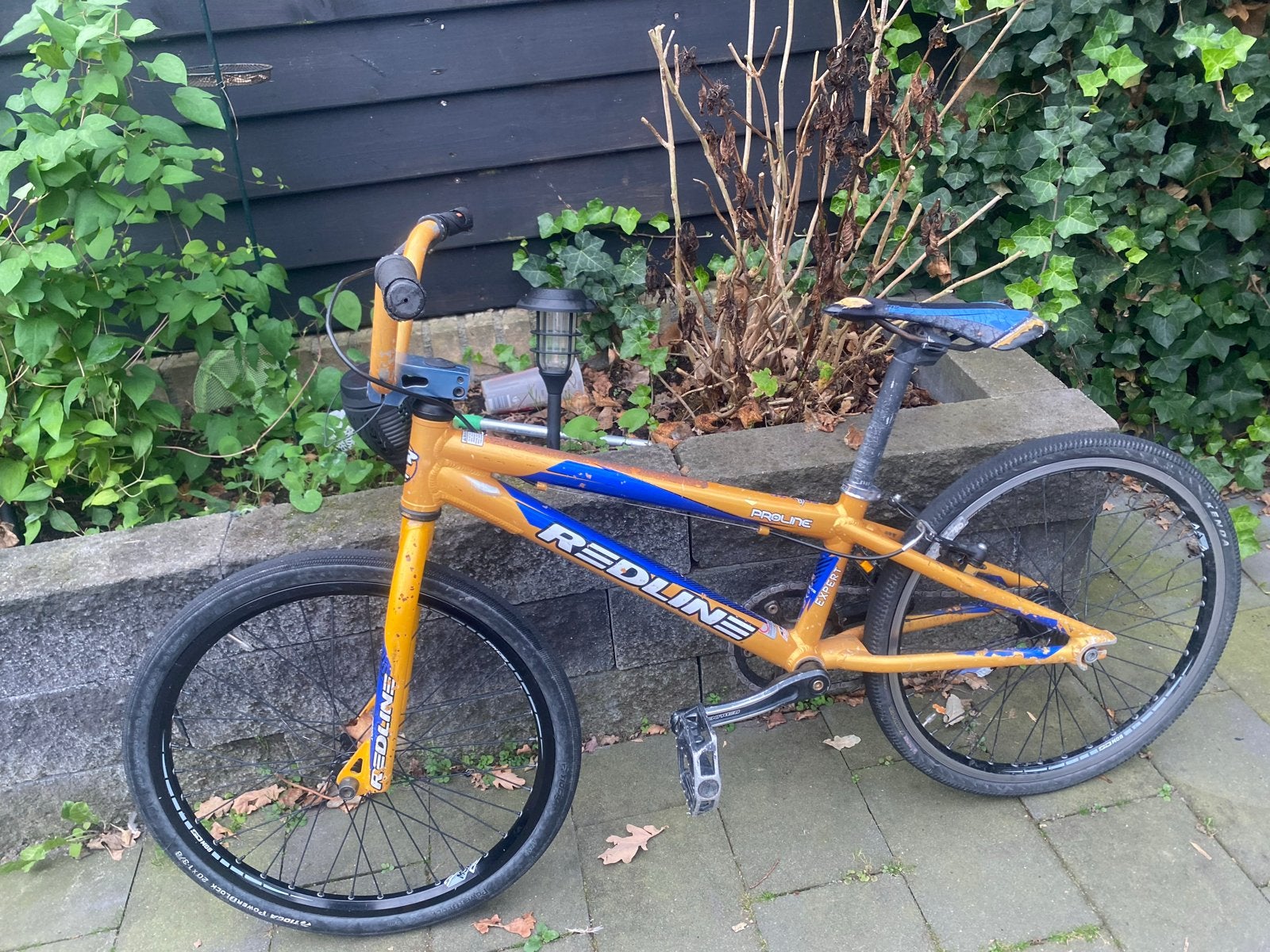 Redline Proline Expert BMX - Goud/Blauw, Ophalen, Gebruikt, Velgrem, Aluminium