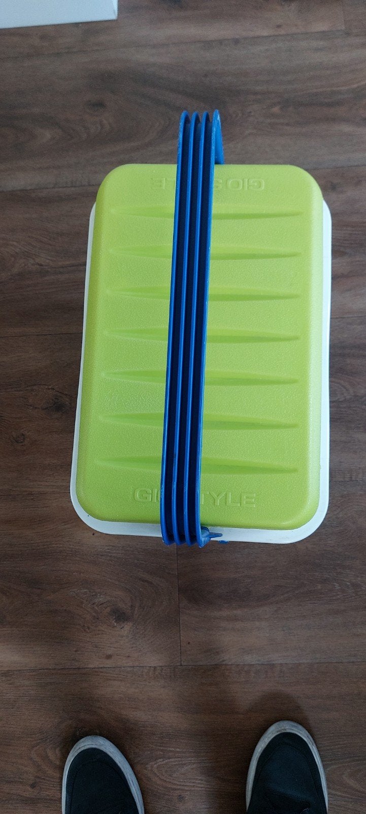 Gios Style Koelbox - Blauw/Groen, Caravans en Kamperen, Ophalen, Gebruikt, Koelbox, Koelelement