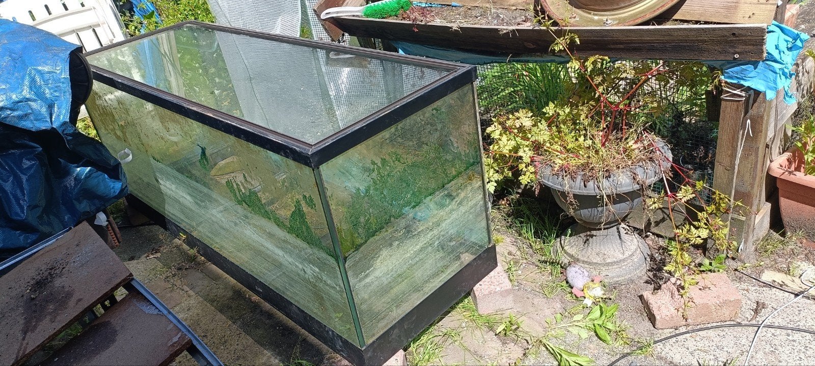 Aquarium/terrarium 450 liter te koop, Dieren en Toebehoren, Vissen | Aquaria en Toebehoren, Ophalen, Leeg aquarium