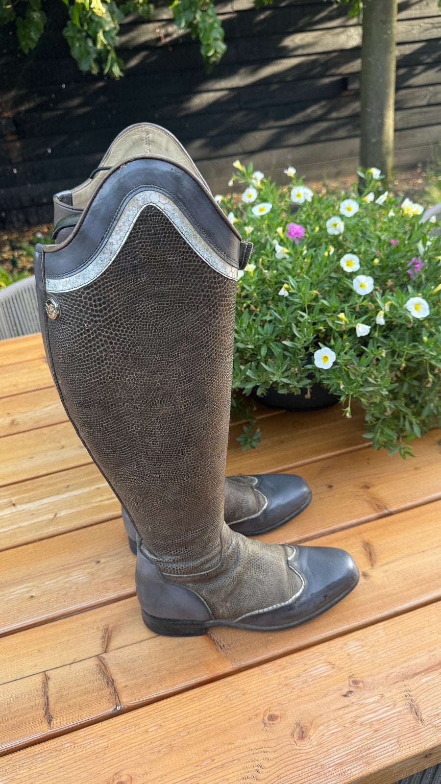 Celeris laarzen (maat 38), Ophalen, Zo goed als nieuw, Dressuur, Schoeisel