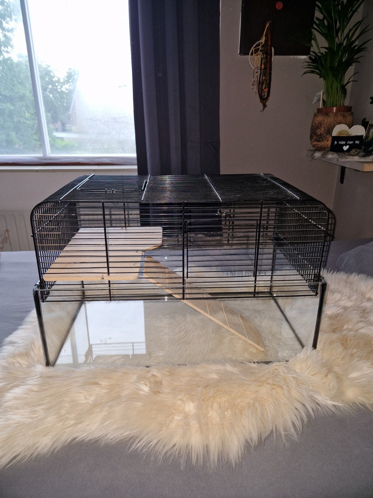 Complete Hamsterkooi met Veel Accessoires, Kooi, Minder dan 75 cm, Hamster, Ophalen