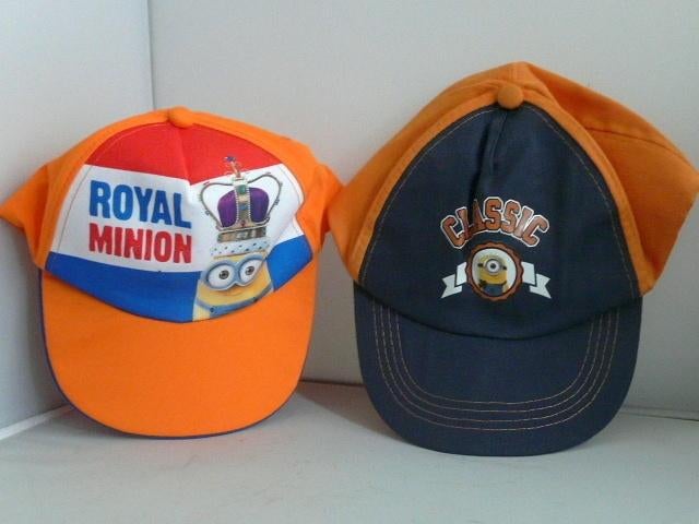 caps Royal Minion en Classinc Minion, Ophalen of Verzenden, Zo goed als nieuw, One size fits all, Pet