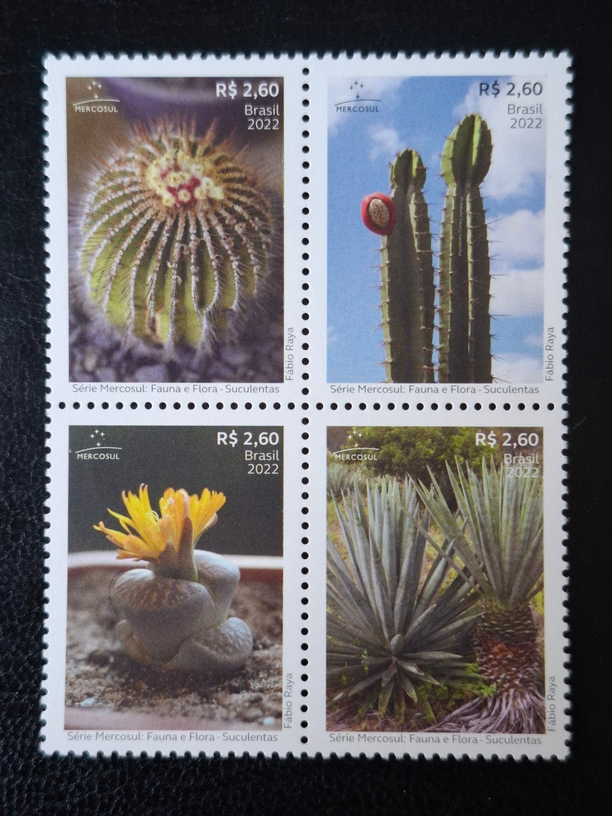 Brazilië 2022 Cactussen, Ophalen of Verzenden, Postfris, Zuid-Amerika