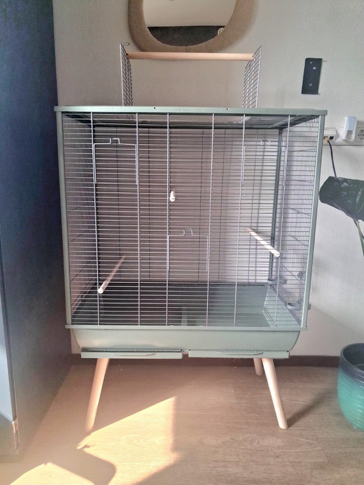 Mooie ruime vogelkooi,op houten pootje zgan, Ophalen, Zo goed als nieuw, Metaal, Vogelkooi
