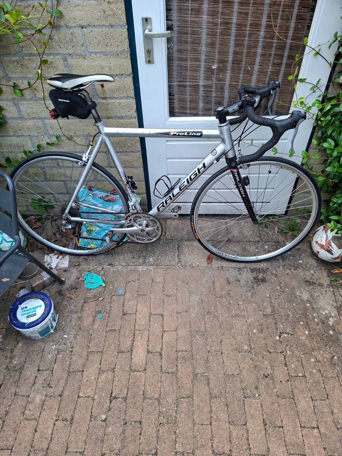 Raleigh ProLine Racefiets - Zilver, 28 inch, Gebruikt, Aluminium, Meer dan 20 versnellingen