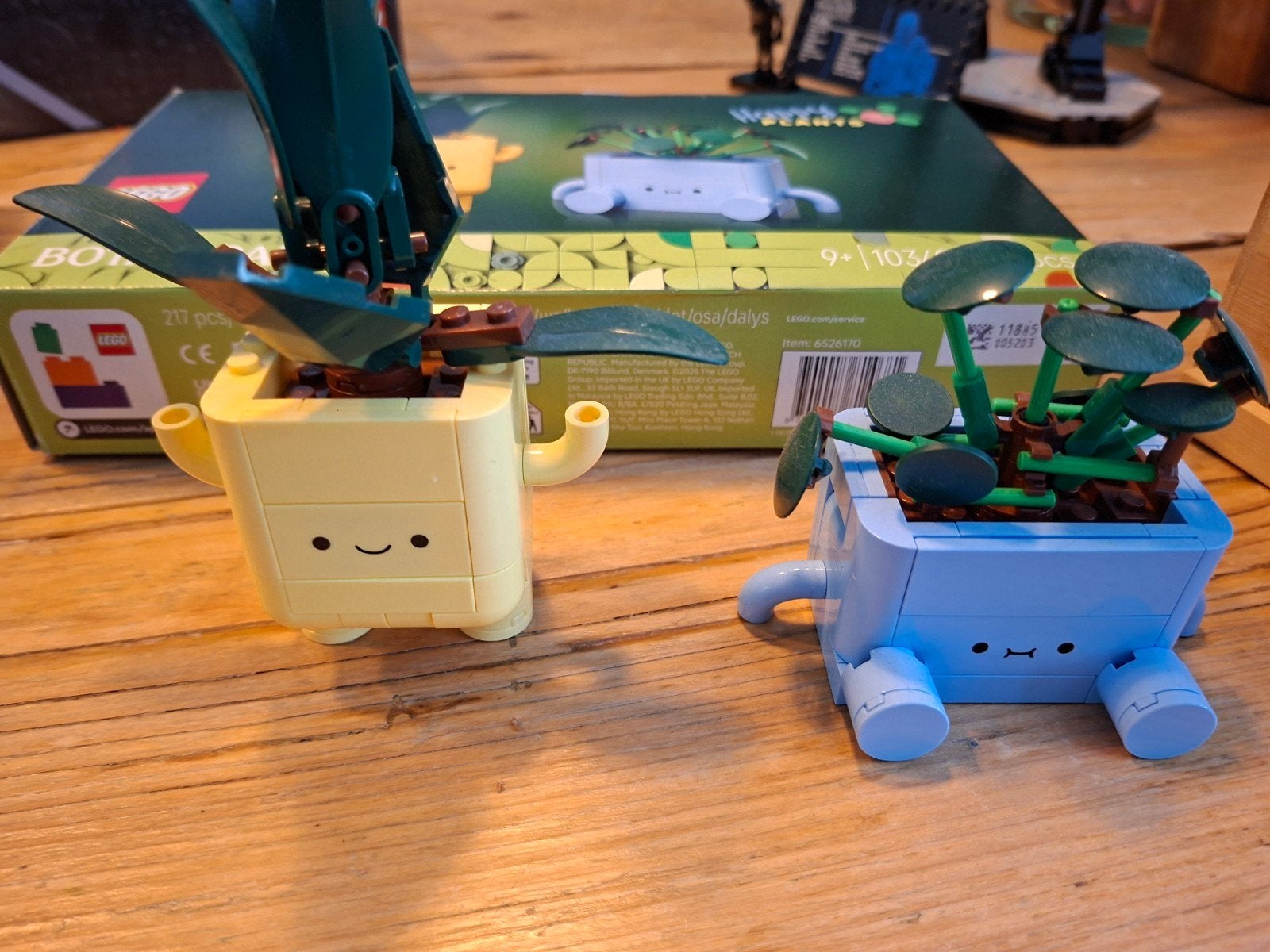 Lego botanicals, Ophalen of Verzenden, Zo goed als nieuw, Overige merken