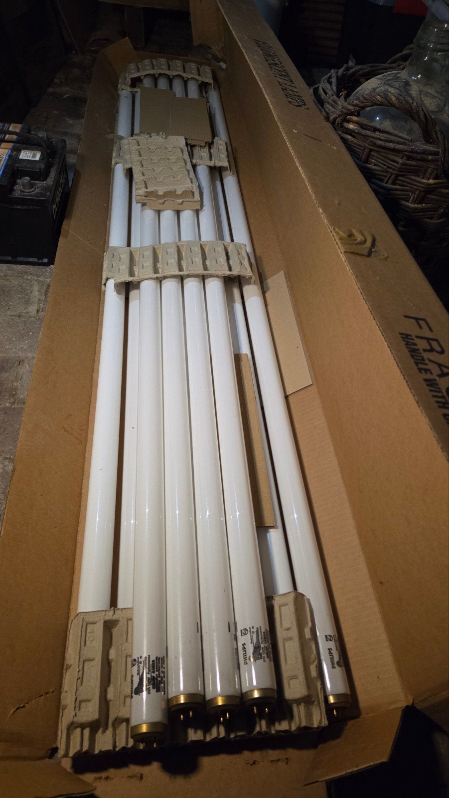 11 Philips UVA 100W Performance Sunlampen (Nieuw), Ophalen, Nieuw, Overige modellen, 10 tot 15 lampen