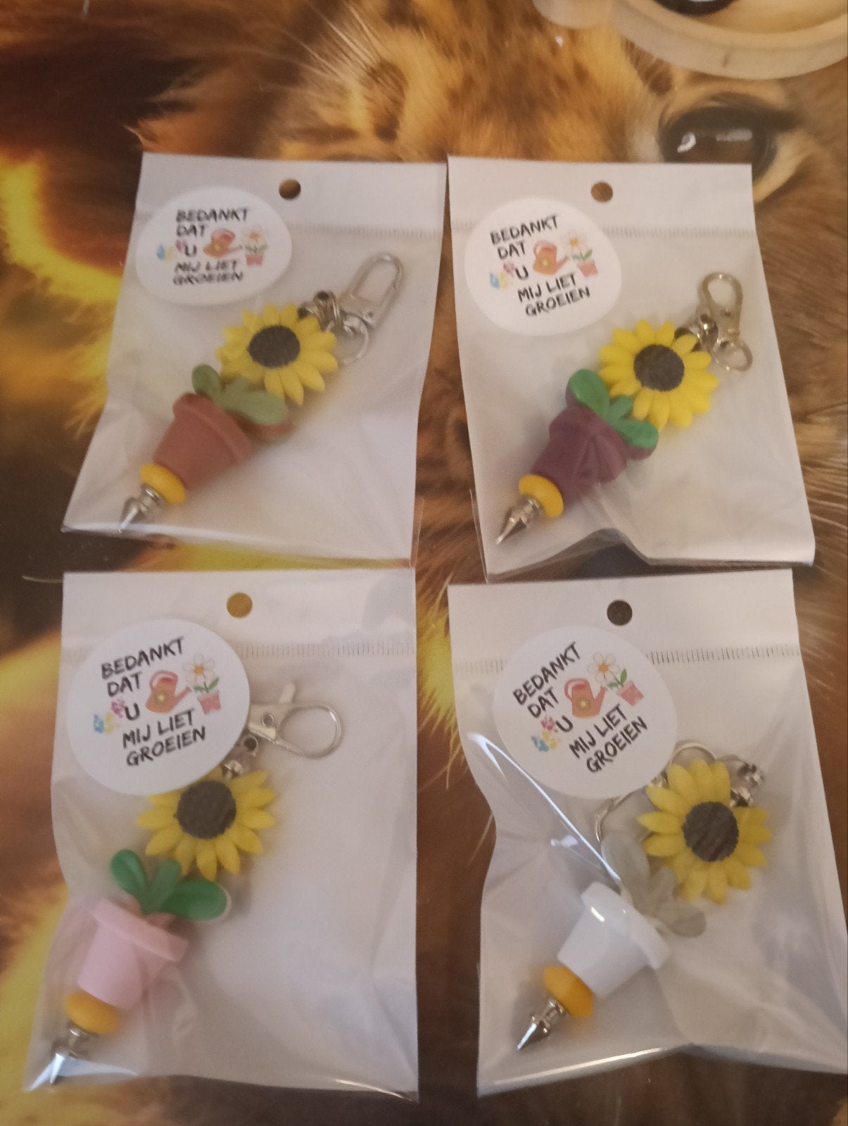 Juffensleutelhanger s of pen, Kinderen en Baby's, Ophalen of Verzenden