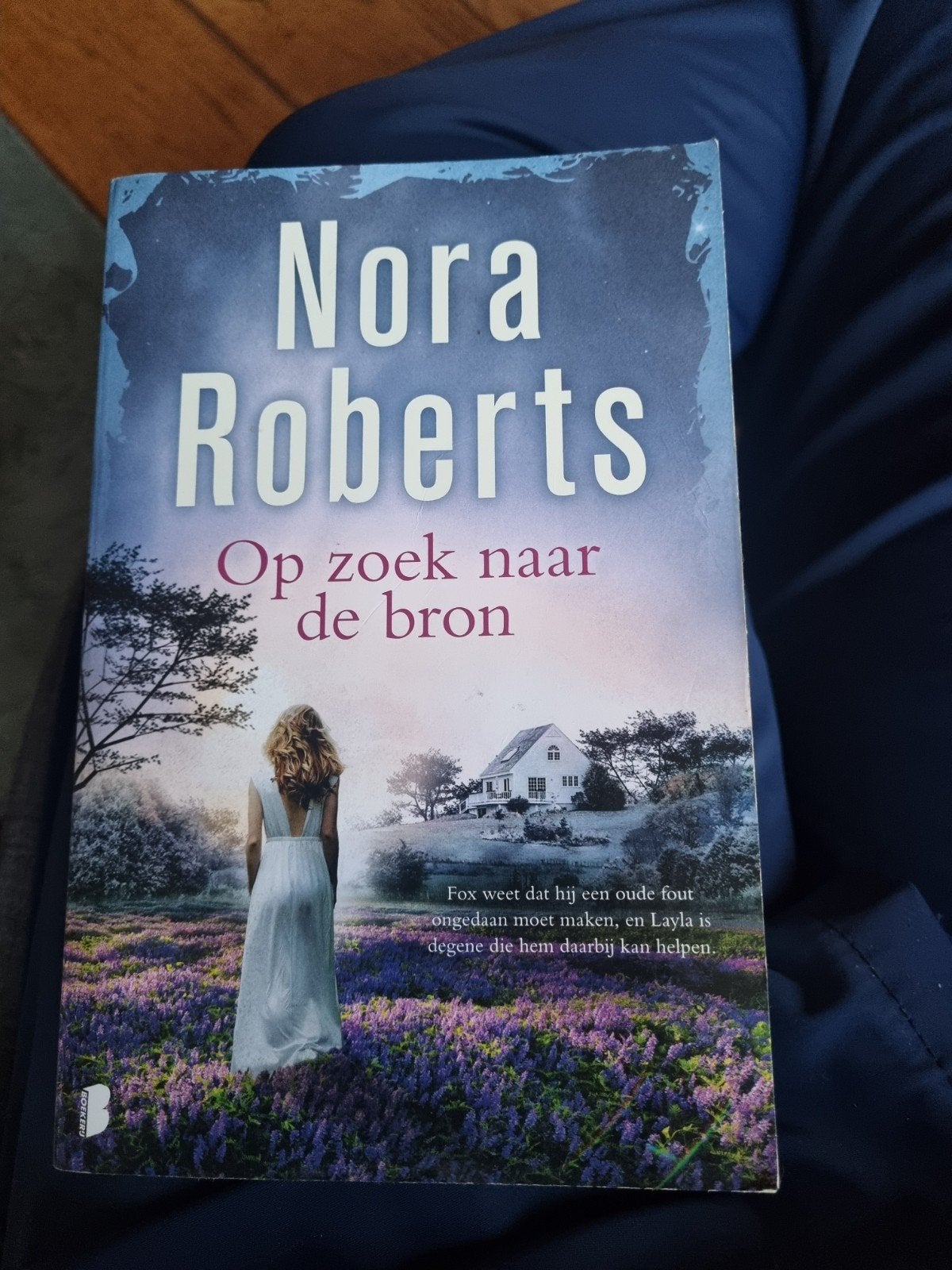 Nora roberts * op zoek naar de bron, Ophalen of Verzenden, Zo goed als nieuw