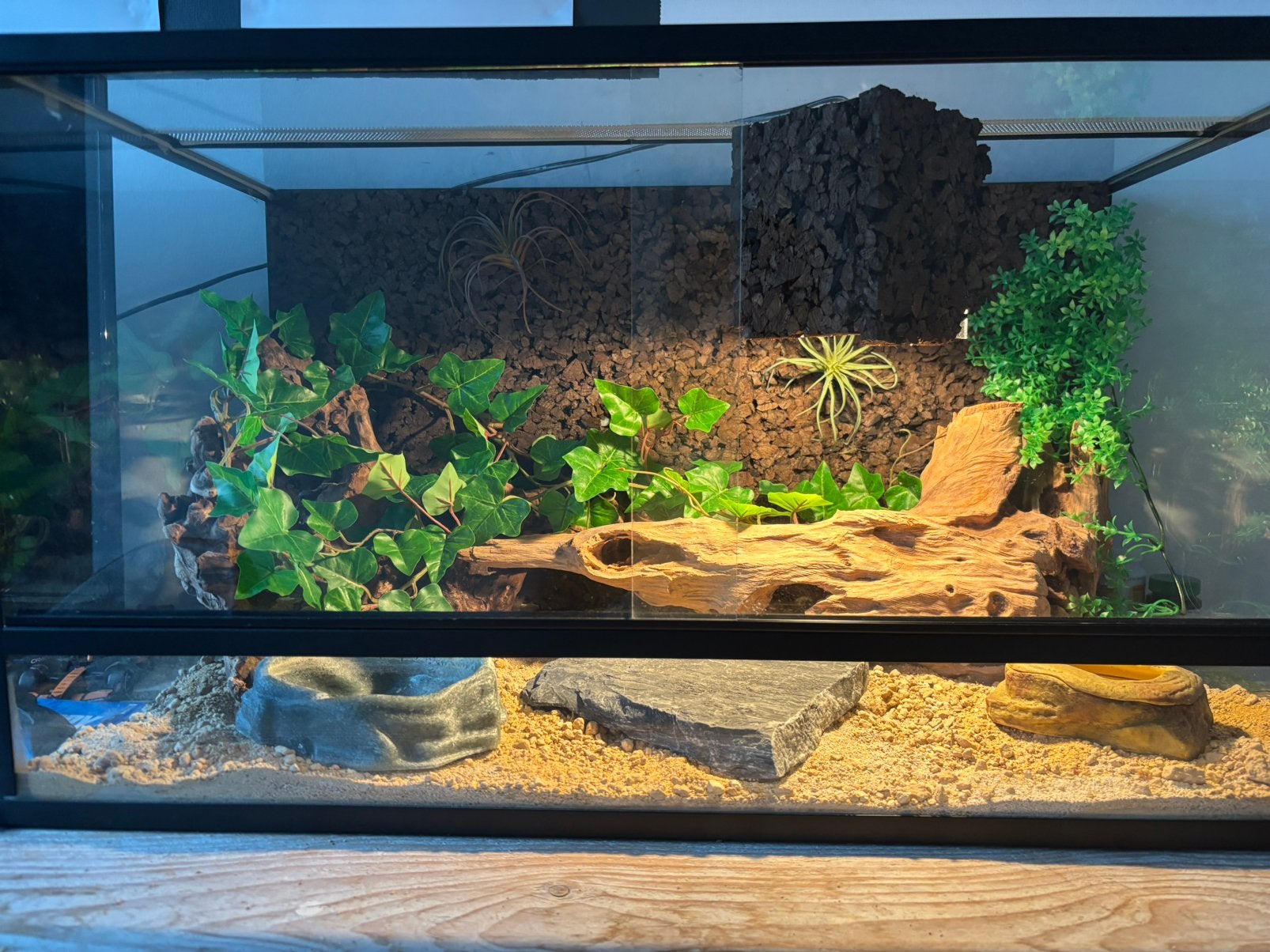 Terrarium, Ophalen, Zo goed als nieuw, Terrarium of Paludarium