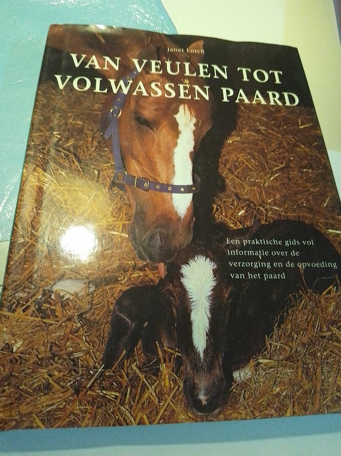 Van Veulen tot Volwassen Paard - Janet Lorch, Ophalen of Verzenden, Gelezen, Overige onderwerpen, Janet Lorch