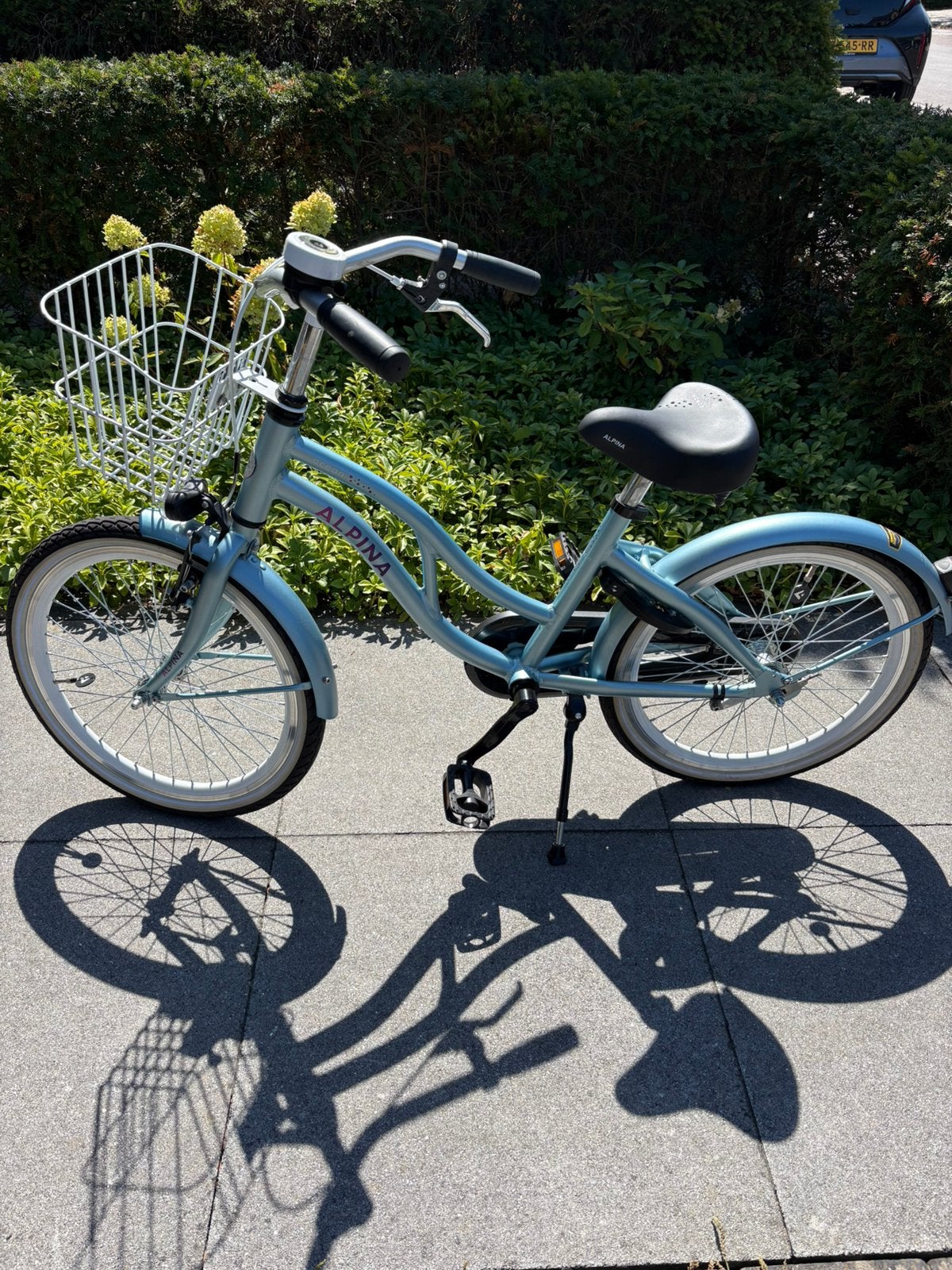 Meisjes fiets 20 inch Alpina, Ophalen, Zo goed als nieuw, 20 inch