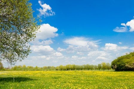 Ik ben opzoek naar een Weiland, perceel te huur., Eén persoon, 3 overnachtingen of meer