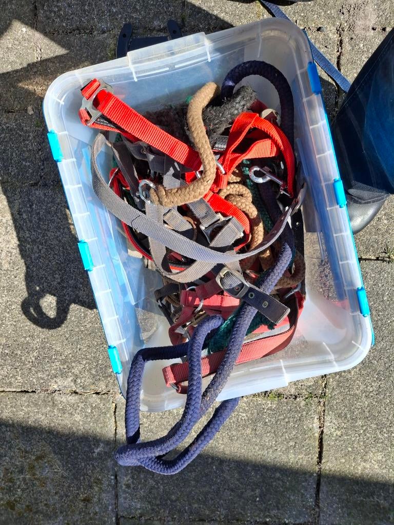 Halsters, halstertouwen, peesbeschermers, Ophalen, Gebruikt