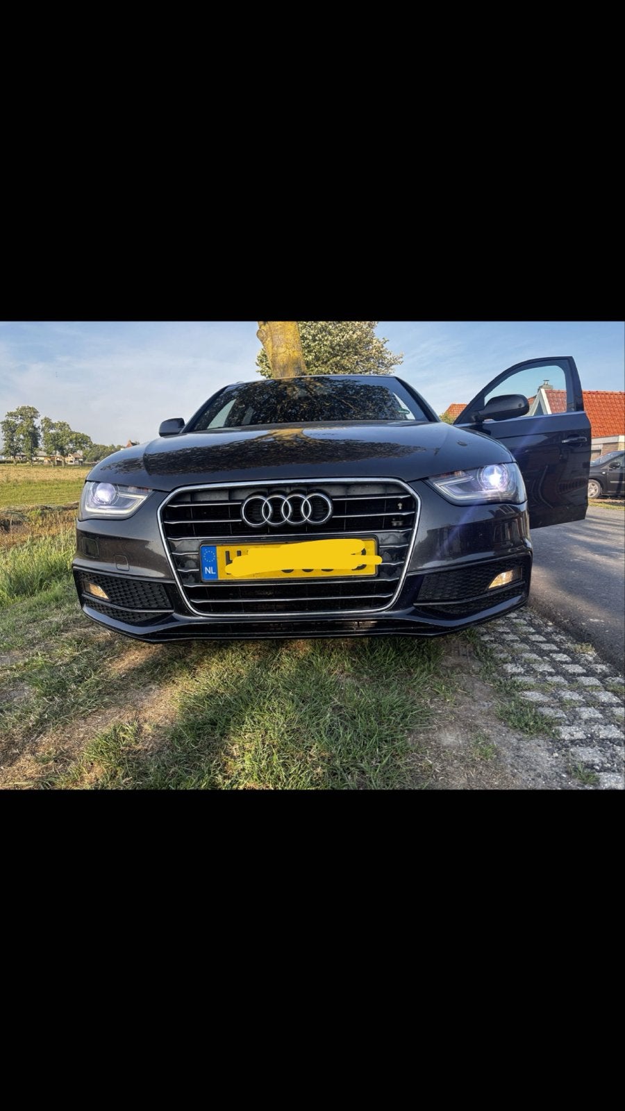 Audi A4 Grill, logo en mistlamp kapjes, Auto-onderdelen, Ophalen, Gebruikt, Audi