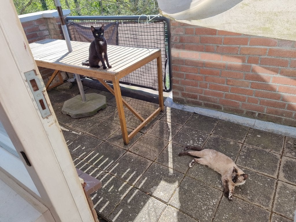 Lindoja parasol met nammaro tafel, Ophalen, Gebruikt, Kantelbaar, Parasolvoet