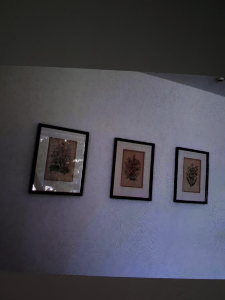 PRENTEN 3 STUKS MET PASSE PARTOUT ZGAN, Minder dan 50 cm, Ophalen of Verzenden, Zo goed als nieuw, Schilderij