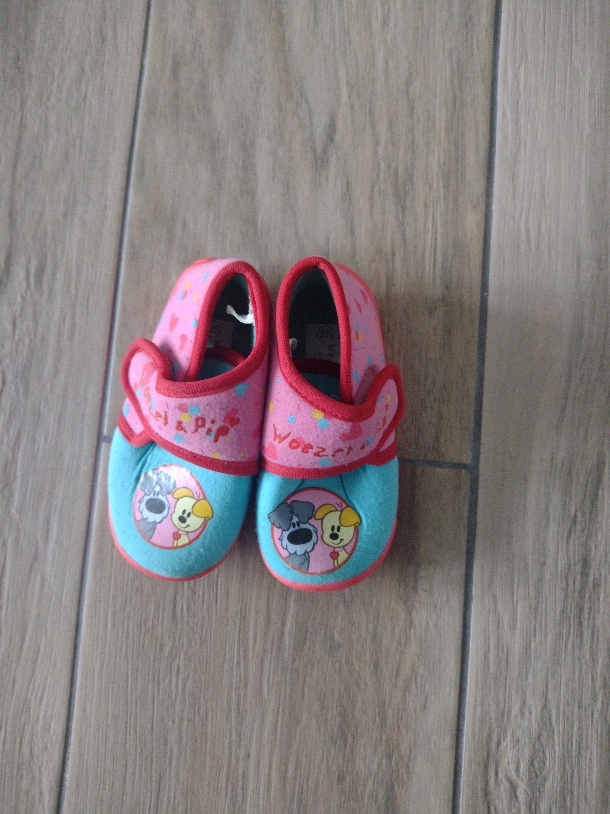 pantoffels maat 25, Kinderen en Baby's, Ophalen of Verzenden, Jongetje of Meisje, Slofjes