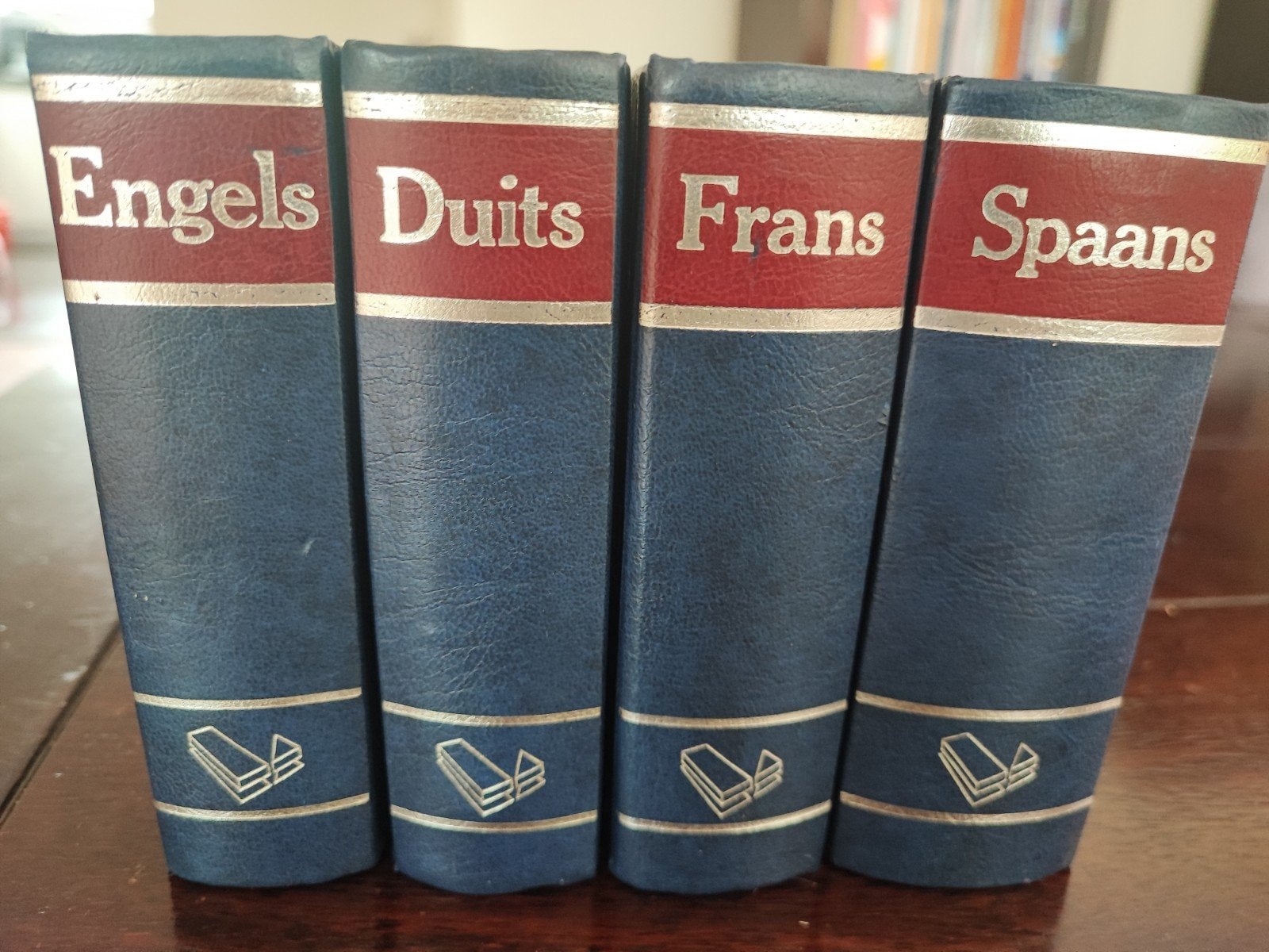 Lekturama's Woordenboek: Engels, Duits, Frans, Spaans, Gelezen, Overige uitgevers, Ophalen of Verzenden, Lekturama