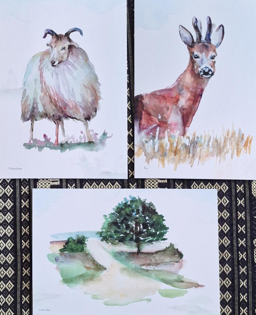 Dwingelderveld Heidelandschap ansicht kaarten set 10 x 15 cm, Ophalen of Verzenden, 1980 tot heden, Ongelopen, Overige soorten