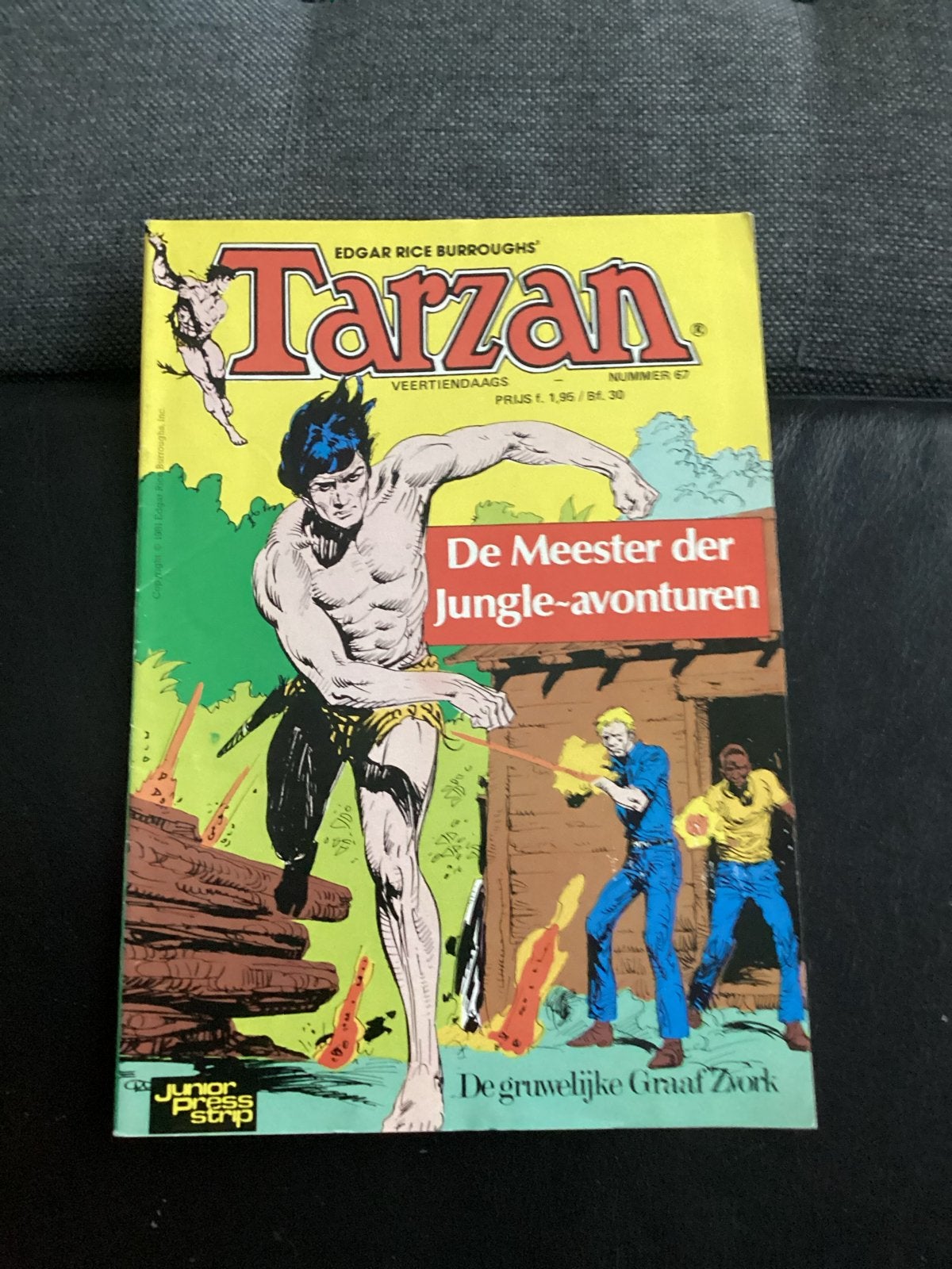 Tarzan stripboek - Nummer 67: De Meester der Jungle-avonture, Boeken, Ophalen of Verzenden, Gelezen