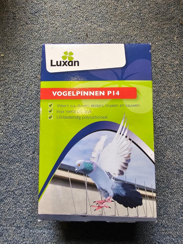 Vogel / Duiven pinnen 4 dozen