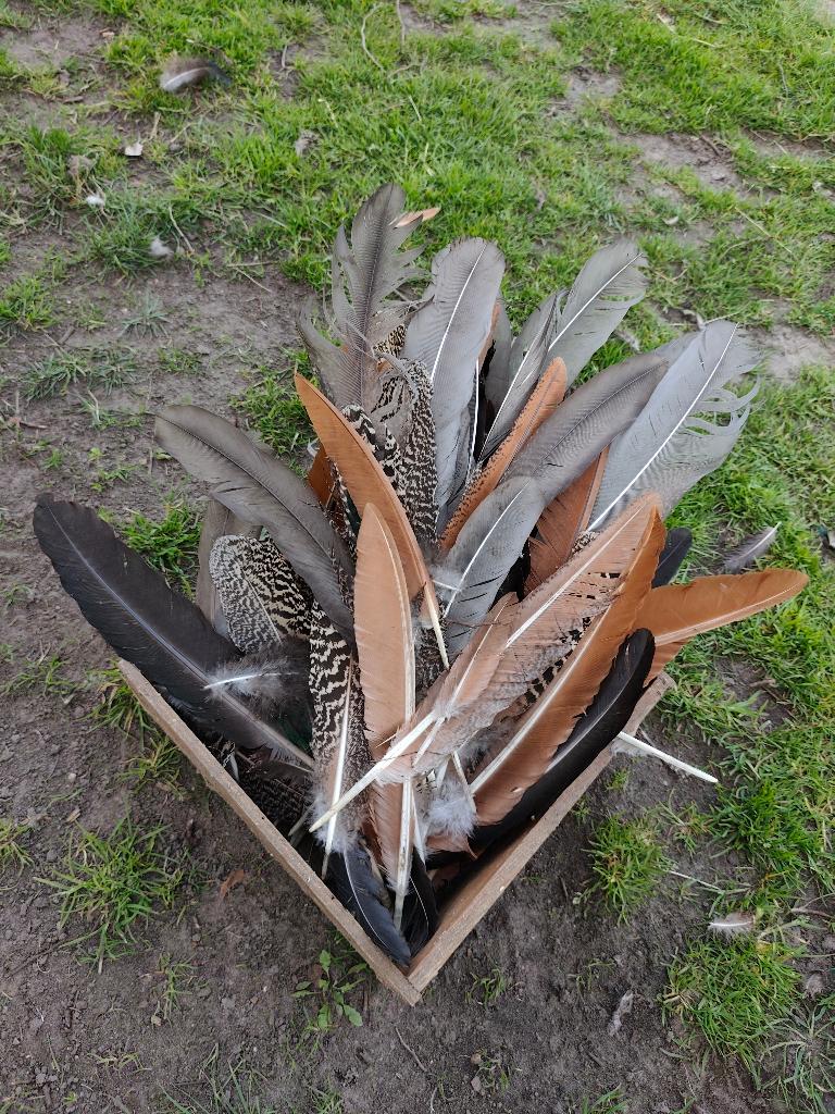 Bruine pauwenveren, Huis en Inrichting, Meerkleurig, Ophalen of Verzenden, Natuurlijk materiaal, Landelijk