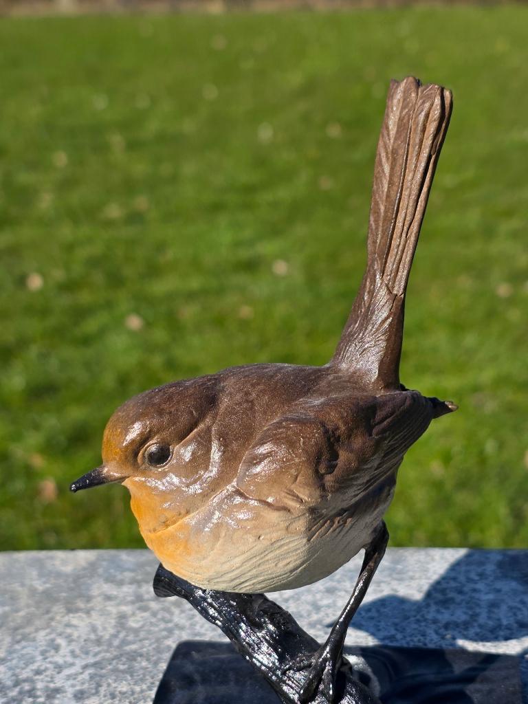 ROODBORSTJE / bronzen beeld / vogel, Tuin en Terras, Tuinbeelden, Dierenbeeld, Nieuw, Info@huisentuindecoratiemarie.nl, Huis en tuin decoratie marie