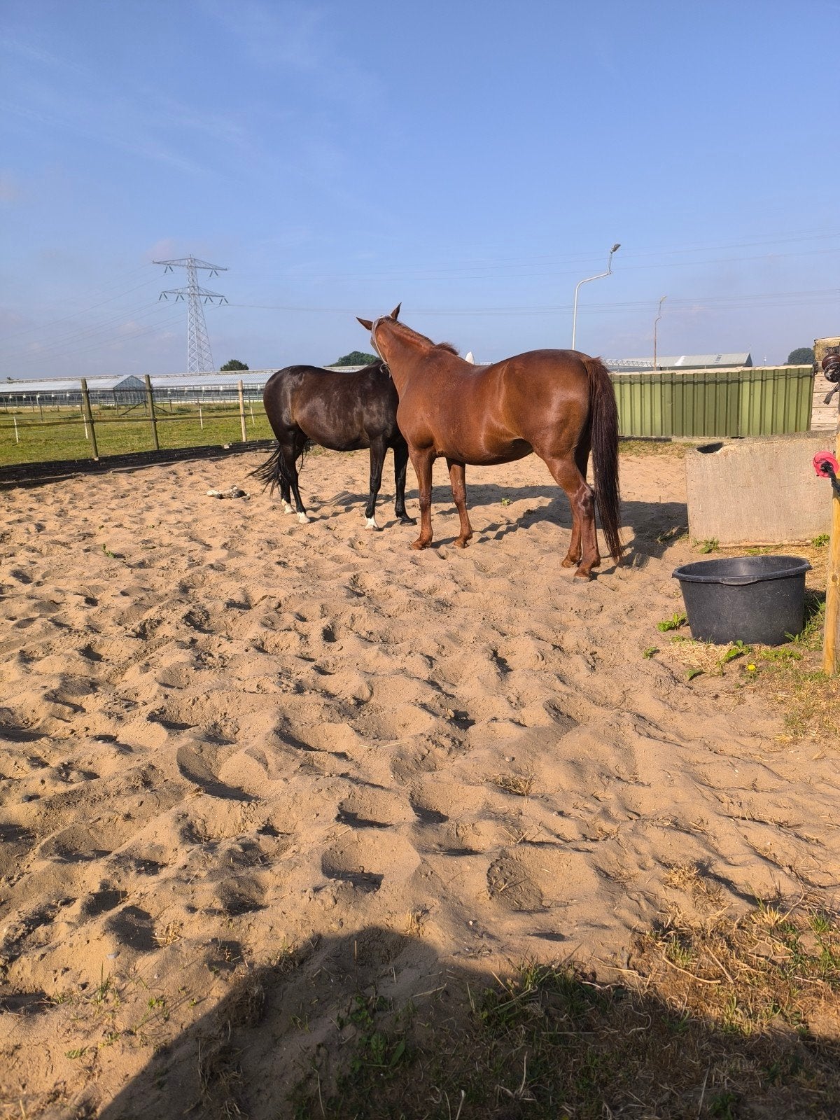 Met spoed gezocht stalling voor 4 paarden, Stalling