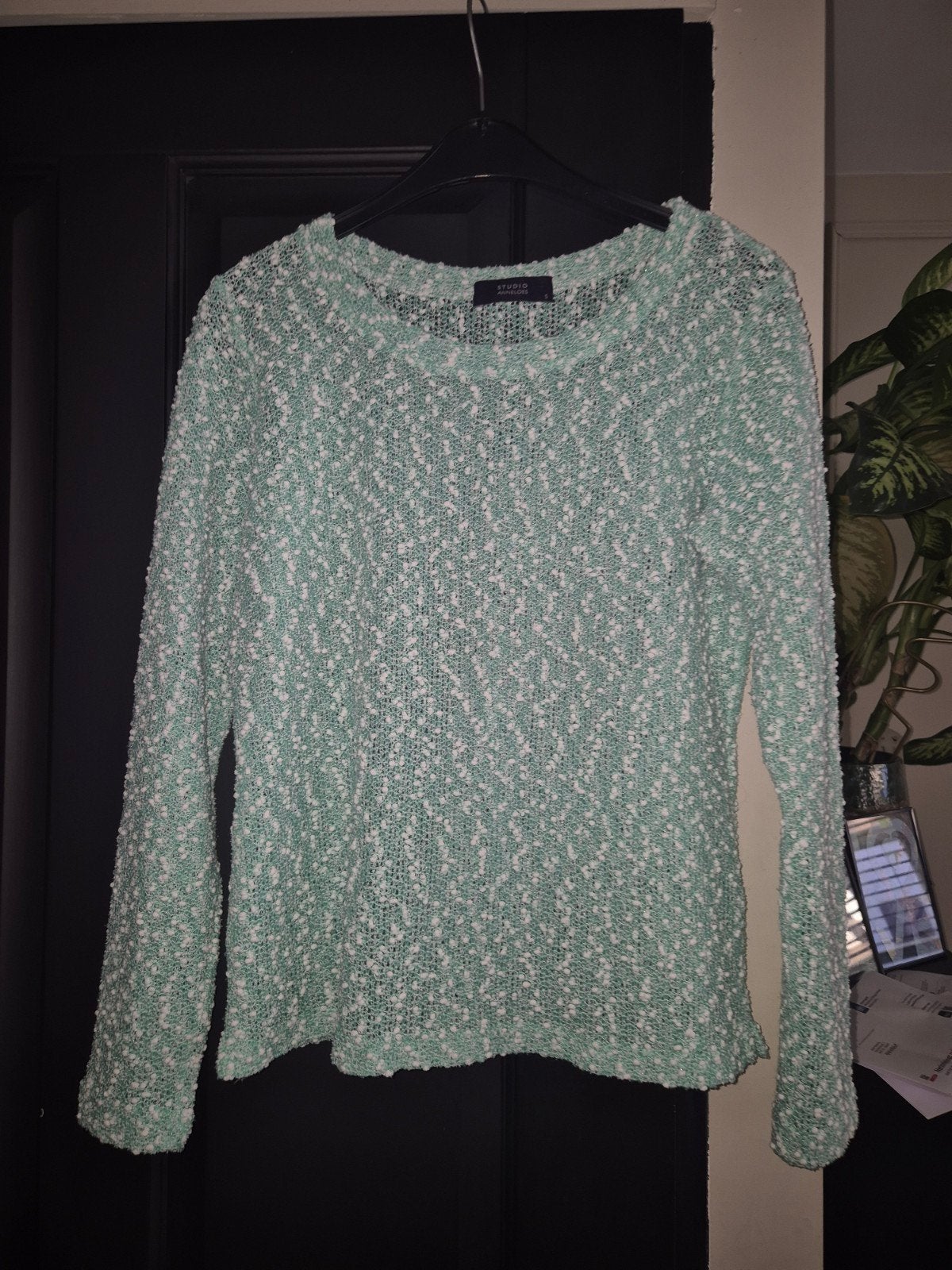 Studio Anneloes trui maat S mintgroen, Kleding | Dames, Truien en Vesten, Studio Anneloes, Ophalen of Verzenden, Maat 36 (S), Gedragen