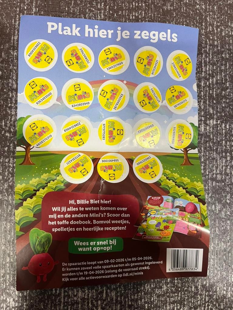Lidl mini’s spaarkaart vol!, Ophalen of Verzenden, Winkel, Super of Benzinepomp, Volle spaarkaart