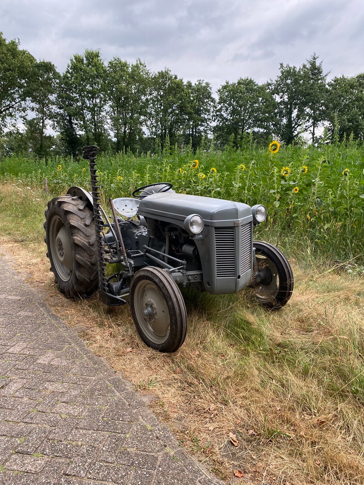 Te koop grotendeels gerestaureerde MF Ted20, Zakelijke goederen, Agrarisch | Tractoren, Ophalen, Tot 2500, Oldtimer, Tot 80 Pk