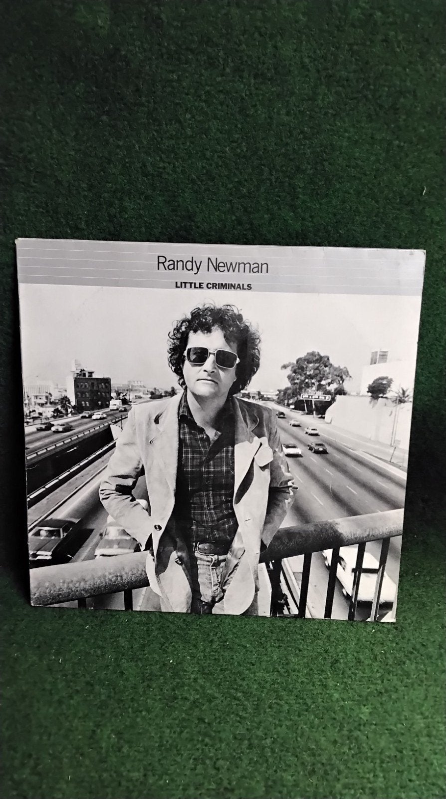 RANDY  NEWMAN, Cd's en Dvd's, Ophalen of Verzenden, LP
