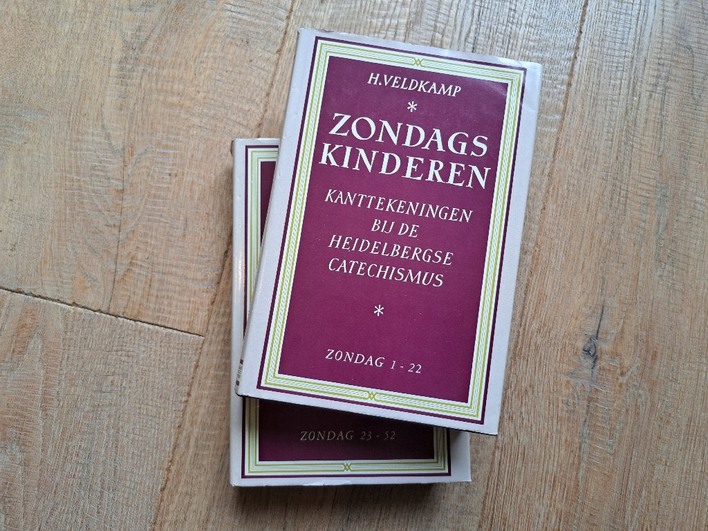 Ds. H. Veldkamp - Zondagskinderen, Ophalen of Verzenden, Zo goed als nieuw, Christendom | Protestants