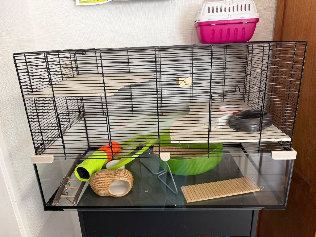 Hamsterkooi, Ophalen, Kooi, Gebruikt, 60 tot 90 cm