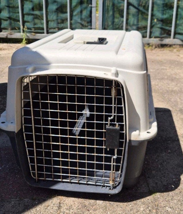 Flamingo Transportbox, Dieren en Toebehoren, Ophalen, Gebruikt