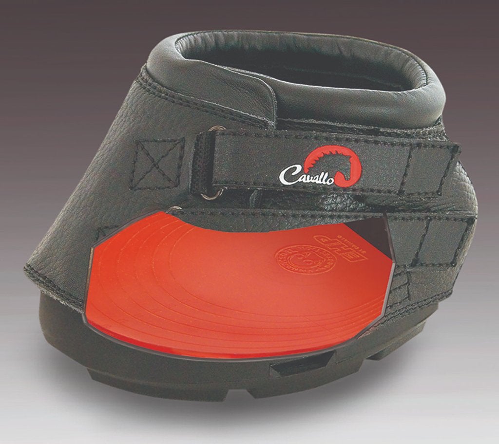 F.R.A. Gel Inlegzool voor extra demping in de hoefschoen, Dieren en Toebehoren, Ophalen of Verzenden, Nieuw, Recreatie