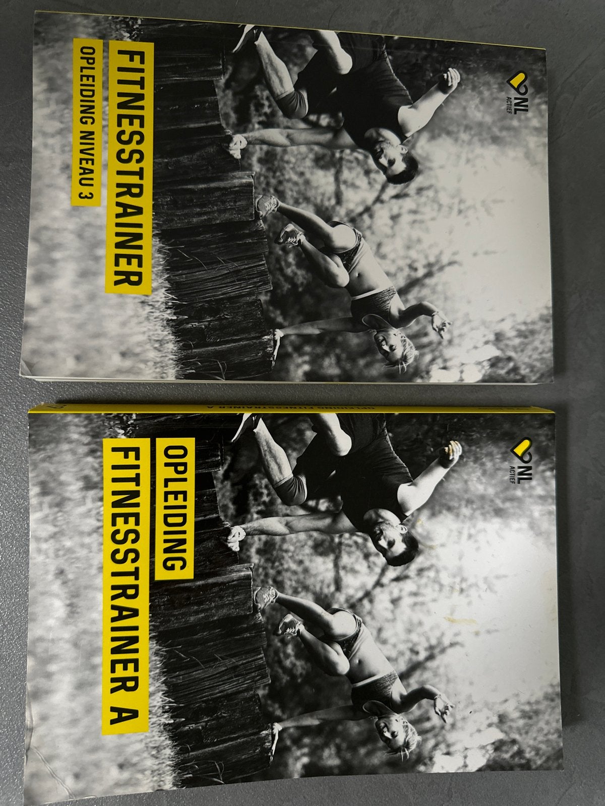 Opleiding Fitnesstrainer A & Fitnesstrainer Niveau 3, Boeken, Verzenden, Beta, Zo goed als nieuw, MBO