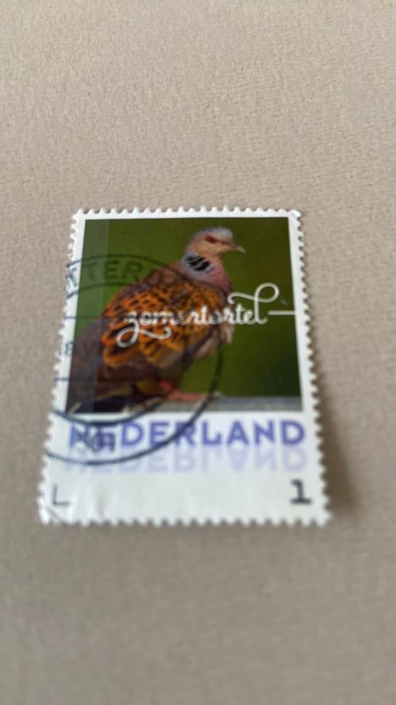 Nederland, Ophalen of Verzenden, Gestempeld