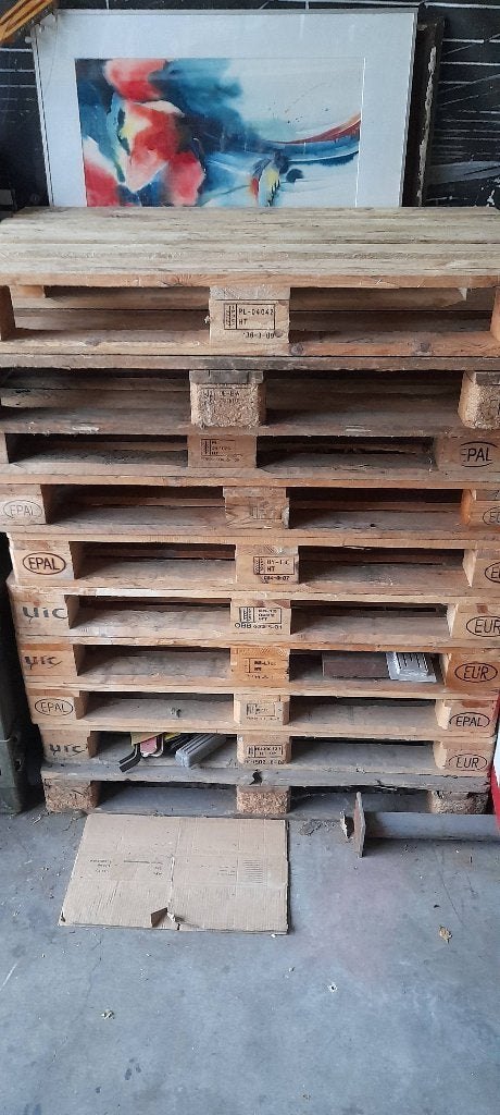 Euro pallet 10 stuks, Doe-het-zelf en Verbouw, Hout en Planken, Ophalen, Zo goed als nieuw, 50 mm of meer, Minder dan 200 cm