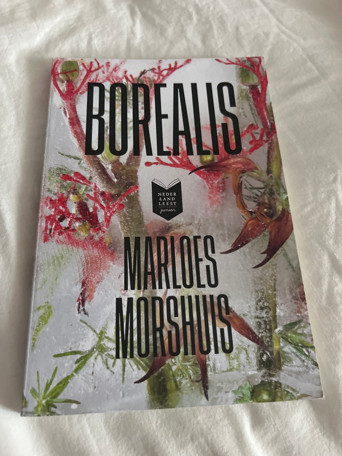 Borealis - Marloes Morshuis (Nederland Leest Junior), Verzenden, Zo goed als nieuw, Fictie algemeen