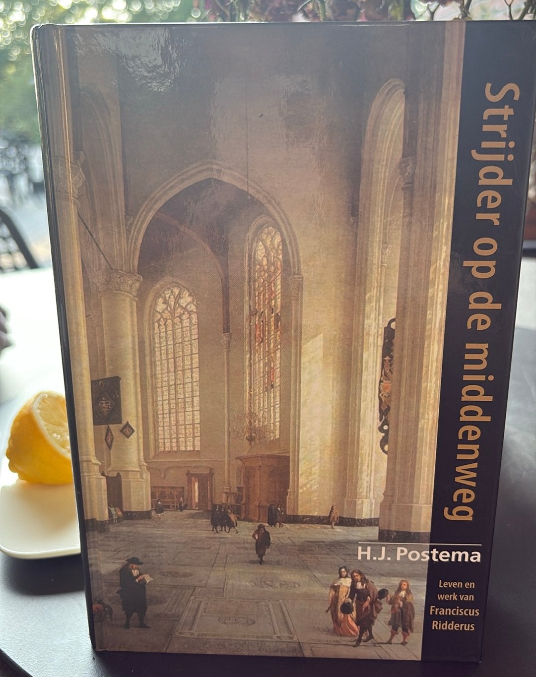 H.J. Postema - Strijder op de middenweg Franciscus Ridderus, Ophalen of Verzenden, Gelezen, H.J. Postema