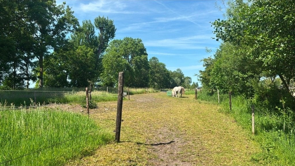 Hulp op paddock paradise, Dieren en Toebehoren, Stalling en Weidegang